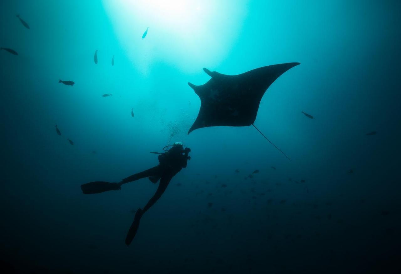 Tilar Siro Andamans - A Cgh Earth Experience Otel Govind Nagar Dış mekan fotoğraf