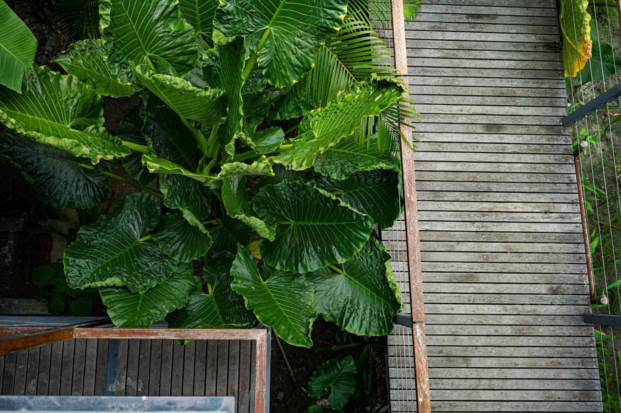 Tilar Siro Andamans - A Cgh Earth Experience Otel Govind Nagar Dış mekan fotoğraf